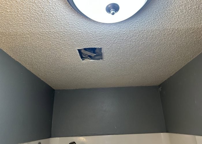 Professional Ceiling Drywall Repair