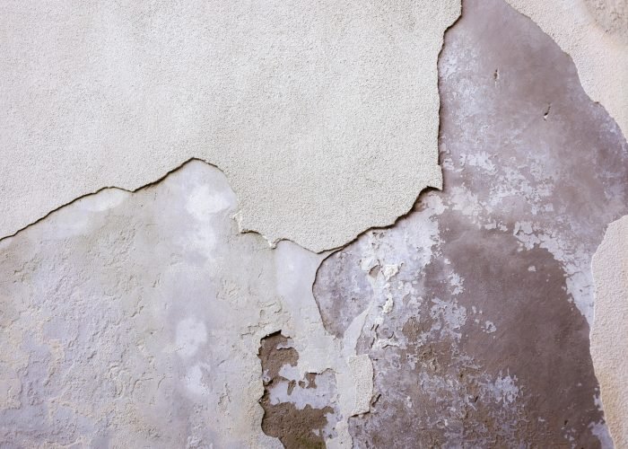 Plaster Repair