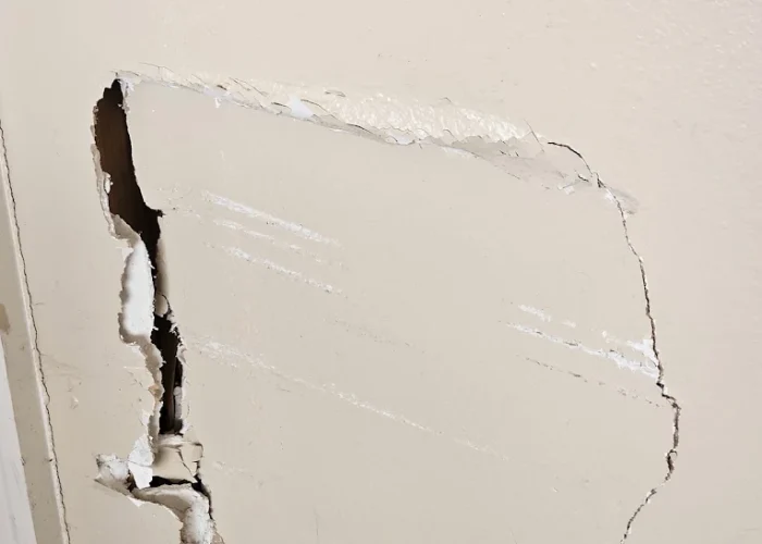 Professional Repair for Large Holes and Wall Damage